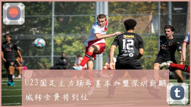 U23国足主力杨希基本加盟深圳新鹏城转会费将到位